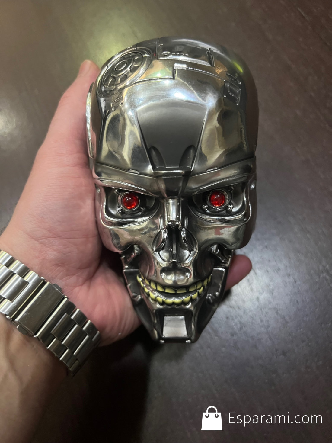 Cabeza T-800 en la mano